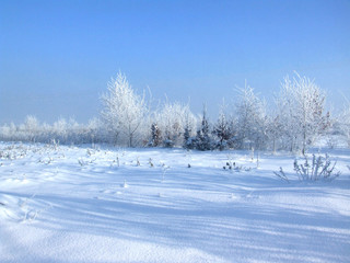 Winter wonderland landscape