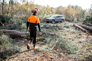 Professional lumberman in protective clothes making woods logging with chainsaw, going to his SUV car in the forest