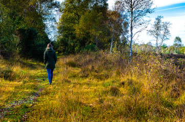 Young woman walking in autumn at Iping and  Stedham Commons in West Sussex, England
