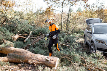 Professional lumberman in protective workwear sawing a tree trunk in the forest with his SUV car on the background
