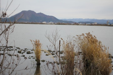 初冬の八郎湖