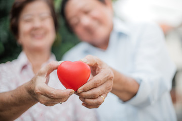 Happy Asian senior couple in love. Senior couple with heart in front of lovely Background