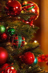 Beautiful Red Christmas Balls Hanged On The Christmas Tree Branch