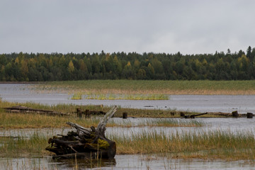 landscape with river