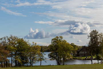tree in the park Кижский погост, Кижи Kizhi Pogost