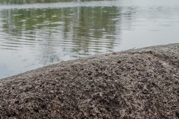 Rocks in nature and water that reflects the sky