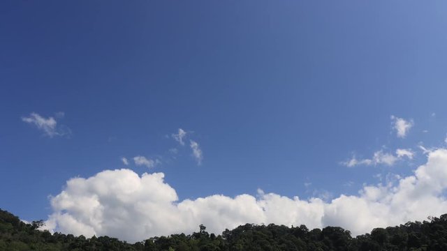Time lapse video of clouds forming in sjy above rainforest 