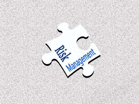 Puzzel risk magement