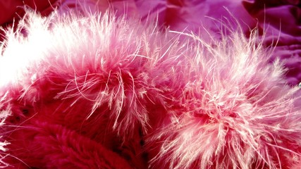 Fluffy decorative pink fluff and feathers for boa