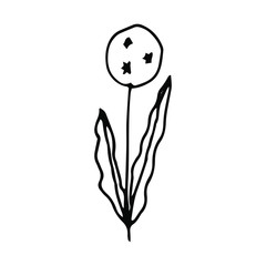 Hand drawn creative flower.  White background. Ink doodle illustration. Hand-drawn vintage, minimalistic black flower. Beautiful vector illustration.