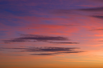 Fototapeta na wymiar jet in the sky 1,sunset, clouds, nature, red,pink,evening,color,cloudscape