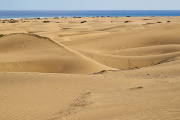 Sandberge von der Sahara am Strand von Gran Canaria