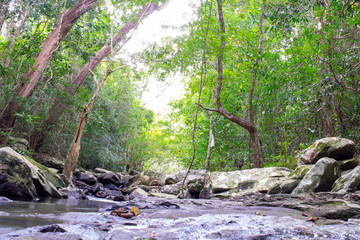 Fototapeta premium little stone water fall on green tree background