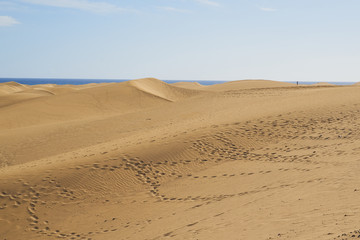 Fototapeta na wymiar Sandberge von der Sahara - Dünenlandschaft am Strand von Gran Canaria