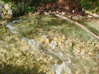 Landscape of a mountain river that carries its waters through the impenetrable thickets of mountain forests and thickets of sedge.