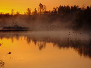 Sunrise landscape at the water, trees reflection in the lake on foggy morning, early morning reeds mist fog and water surface on the lake       
