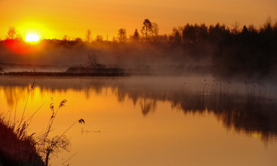 Sunrise landscape at the water, trees reflection in the lake on foggy morning, early morning reeds mist fog and water surface on the lake       