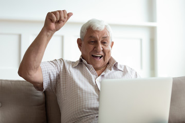 Euphoric older man looking at laptop monitor, celebrating lottery win.