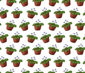 Seamless background with flower pots. Isolated on white background. Printing on packages, bookends, packaging, wrappers, fabric.