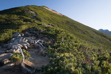 The mountain peaks in autumn
