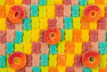 Jelly sweats bears rainbow pattern. Top view.