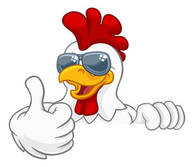 A chicken rooster cockerel bird cartoon character in cool shades or sunglasses peeking over a sign and giving a thumbs up © Christos Georghiou