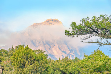 picturesque mountain landscape with coniferous trees