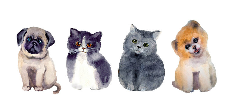 Cute watercolor dods and cats on the white background