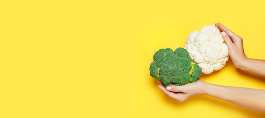 Female hand holding broccoli on yelow background.