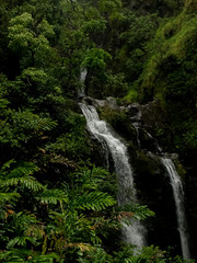 Fototapeta na wymiar Waterfall and the greenery on Maui, Hawaii