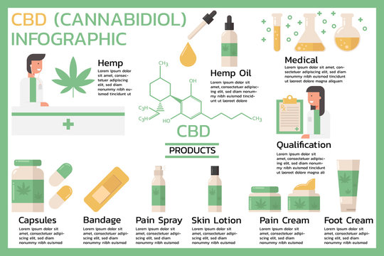 Cannabidiol or CBD, Cannabis infographic benefits information concept with hemp oil, medical products, pain, foot cream, spray, skin lotion, capsules, drug. flat vector illustration design.