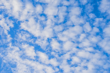 Fototapeta premium Blue sky and white clouds