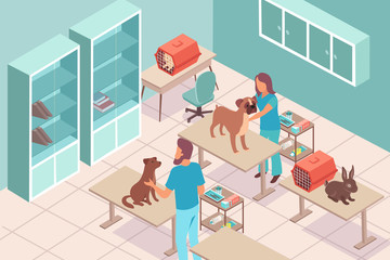 Isometric Veterinary Clinic Composition