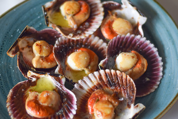 Scallops from the Cantabrian Sea with olive oil and salt in a blue plate. Spanish tapas. North of Spain. Zamburiñas