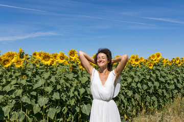 Fototapeta premium Sunflowers 