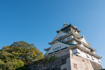 Fototapeta na wymiar Osaka Castle in Osaka with autumn leaves. Japan Travel Concept