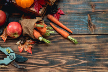 Fall harvest cornucopia. Autumn season with fruit and vegetable. Thanksgiving day concept.