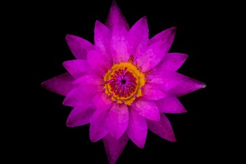 Abstract Triangles flowers of Top view purple lotus and yellow pollen