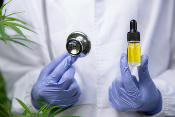 CBD Hemp oil, Doctor holding a bottle of hemp oil and stethoscope, Medical marijuana products including cannabis leaf, cbd and hash oil, alternative medicine.