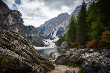 the braies