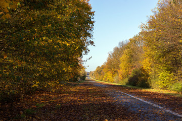 Une autoroute déserte en automne