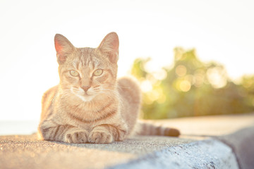 よ、何を見てるの？