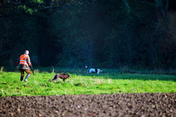 hunters and their dogs approaching the forest