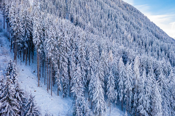 Beautiful winter landscape with snow covered trees in Stubai valley, Tirol, Austria