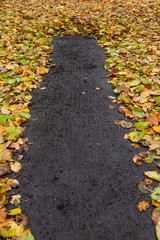 Laub im Garte Gartenweg Weg zusammen fegen im Herbst Autumn cleaning