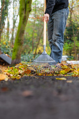 Blätter Laub im Herbst zusammen fegen mit Rechen Besen im Garten