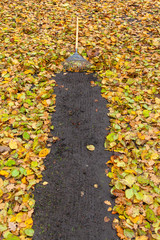 Blätter im Herbst zusammenfegen Ahorn Buche Linde kehren