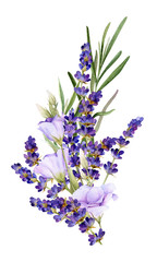 Picturesque bouquet of lavender,leaves and bluebells hand drawn in watercolor isolated on a white background. Floral watercolor illustration. Ideal for creating invitations, greeting and wedding cards