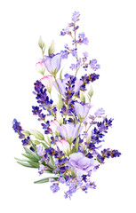 Picturesque arrangement of lavender and bluebells hand drawn in watercolor isolated on a white background. Floral watercolor illustration. Ideal for creating invitations, greeting and wedding cards. © Tatiana