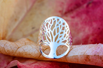Silver ring in shape of tree in mandala placed on autumn leaf background